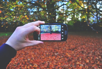 使用智能手机为树拍照的人